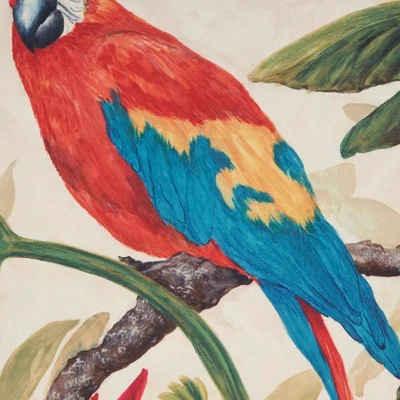 Saro Lifestyle Colorful Parrot Outdoor Pillow With Poly Fill, 18"x18", Multicolored 4 Saro Lifestyle Colorful Parrot Outdoor Pillow With Poly Fill, 18"x18", Multicolored - Image 2