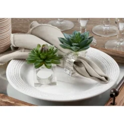 4pk Plastic Succulent Napkin Rings - Saro Lifestyle: Aqua Blue Acrylic, Pressed Molded, Cloth Napkin Holders, Set Of 4 8 4pk Plastic Succulent Napkin Rings - Saro Lifestyle: Aqua Blue Acrylic, Pressed Molded, Cloth Napkin Holders, Set Of 4 -Saro Lifestyle GUEST b305436f 67c0 4349 8d11 983c7b84dd54